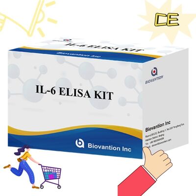 IL-6 인터루킨-6 인간 ELISA 키트, 99% 정확도, 24개월 유통기한, 96 테스트/키트
