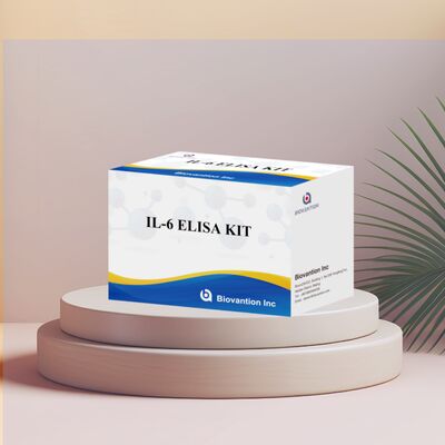 IL-6 인터루킨-6 인간 ELISA 키트, 99% 정확도, 24개월 유통기한, 96 테스트/키트