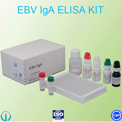 EBV-VCA IgA AB 시험 elisa 장비 효소 면역 측정법 검사 플라즈마 표본