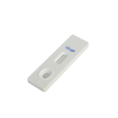 에프스타인 바르 EB IgG/IgM 신속 카세트 검사 검출 만료일 24 입