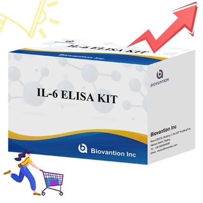 IL6 검출을 위한 높은 민감성 ELISA 키트 정확한 사이토카인 분석을 위한 신뢰할 수 있는 연구 반응기