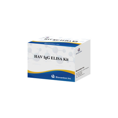 높은 감수성 HAV IgG ELISA 키트 정확한 A형 간염 바이러스 검출 신뢰할 수 있는 CE 인증 임상 및 연구용