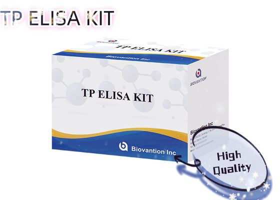 매독 TP ELISA 검사 키트 96T 트레포네마 팔리둠 항체 검출 인간 혈청