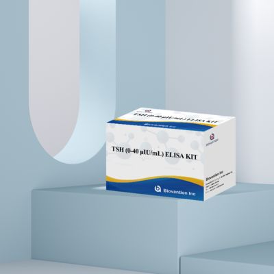 고감도 TSH ELISA 검사 키트를 이용한 시상하부-뇌하수체-갑상선 축 장애의 정확한 진단