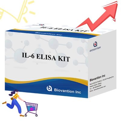 IL-6 인터루킨-6 인간 ELISA 키트, 99% 정확도, 24개월 유통기한, 96 테스트/키트