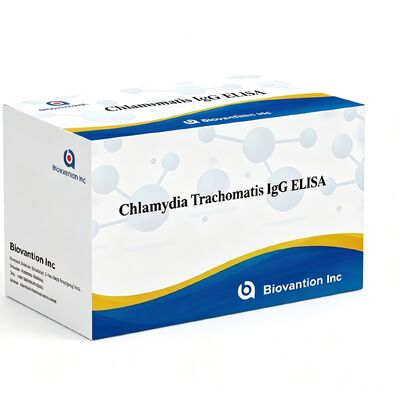 Chlamydia Trachomatis (Ct) IgG ELISA 테스트 키트