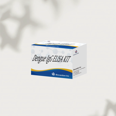 Dengue IgG ELISA 테스트 키트 96T 인간 뎅기 바이러스 IgG 항체 정량 검출